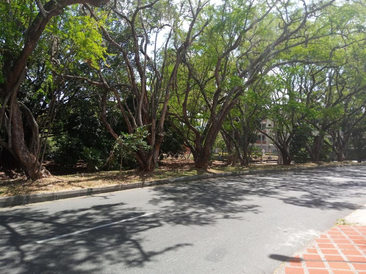 Vip Apartasuites Rosales Medellín Dış mekan fotoğraf